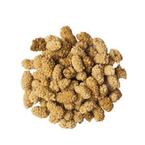White Mulberry Dried
