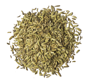 Fennel