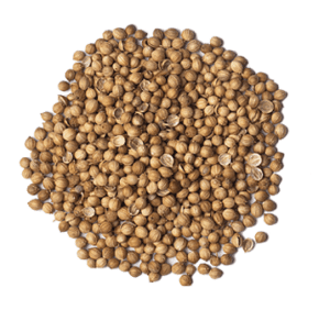 Coriander Seeds